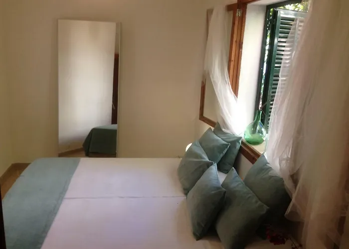 House בית נופש *