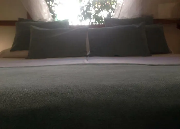 House Дом отдыха Плайя де Пальма